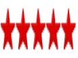 5 star consumer review rating for www.thecrashdoctor.com graphic